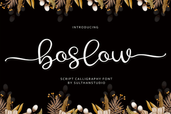 Boost Your Campaigns with Boslow: A Charming Script Font