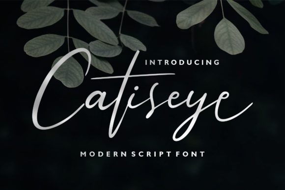 Bring Elegance to Your Handmade Creations with Catiseye Font