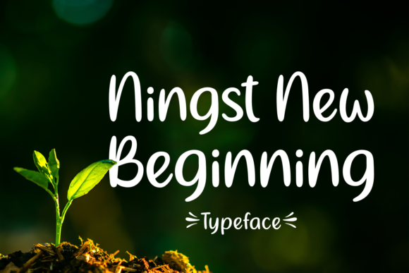 Elevate Your Campaign with Ningst New Beginning Font