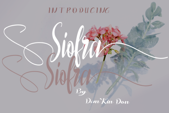 Elevate Your Web Design with Siofra: A Charming Script Font