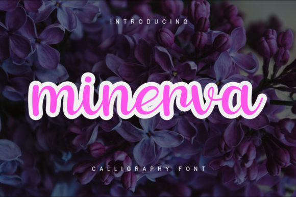Minerva: A Charming Script Font for Creative Web Design
