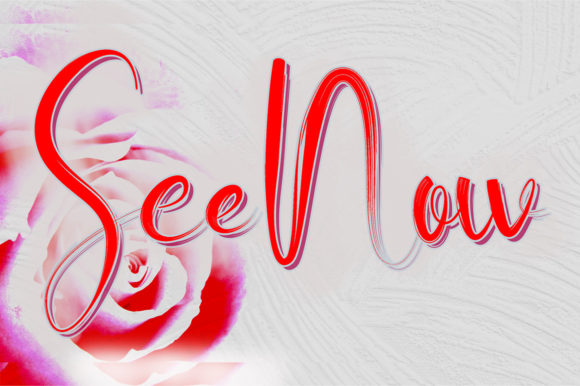 See Now: A Refined Script Font for Elegant Branding